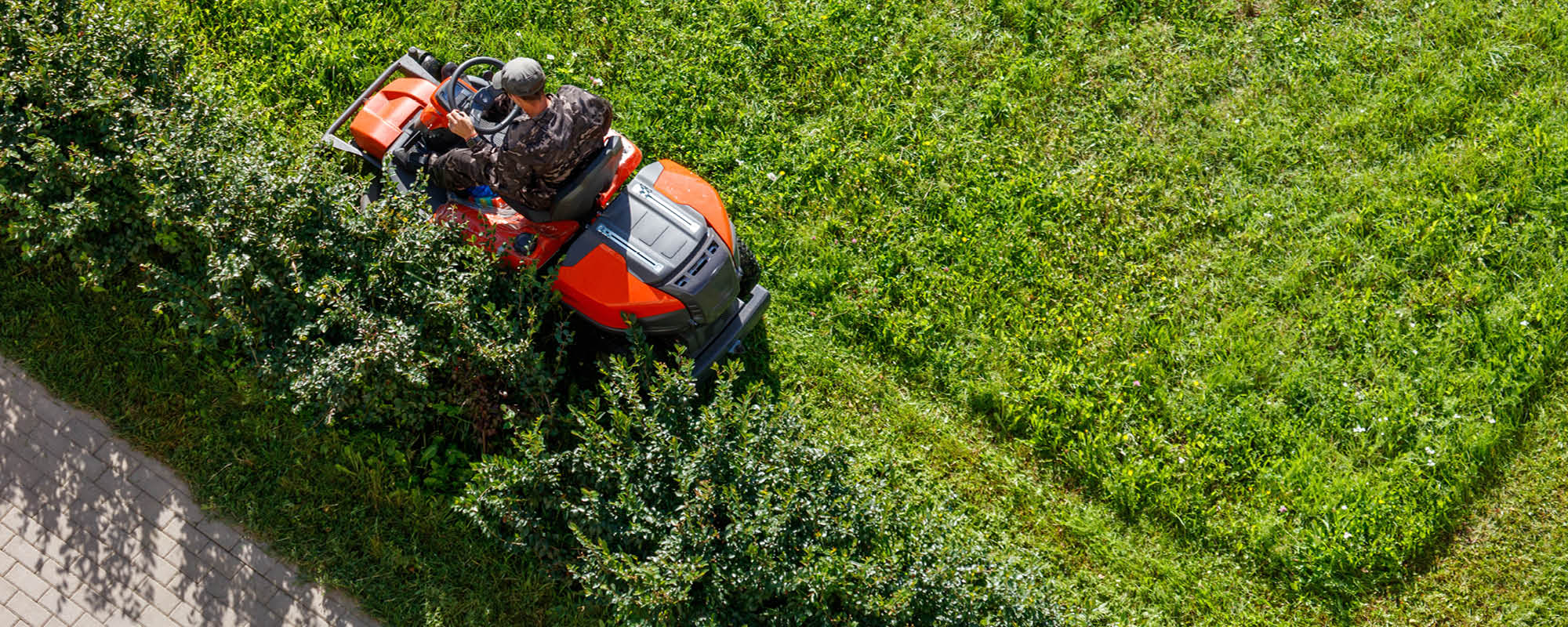 intervento di manutenzione del verde e giardinaggio