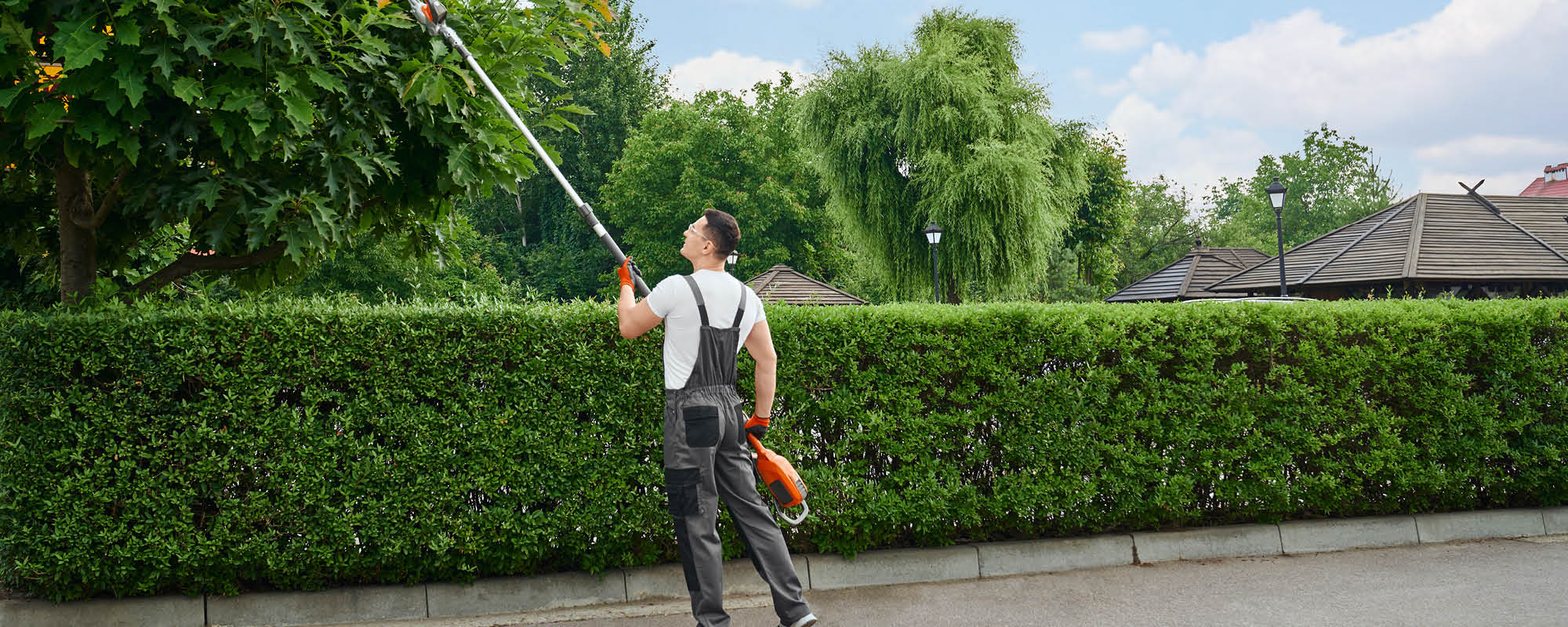 manutenzione del verde e giardinaggio
